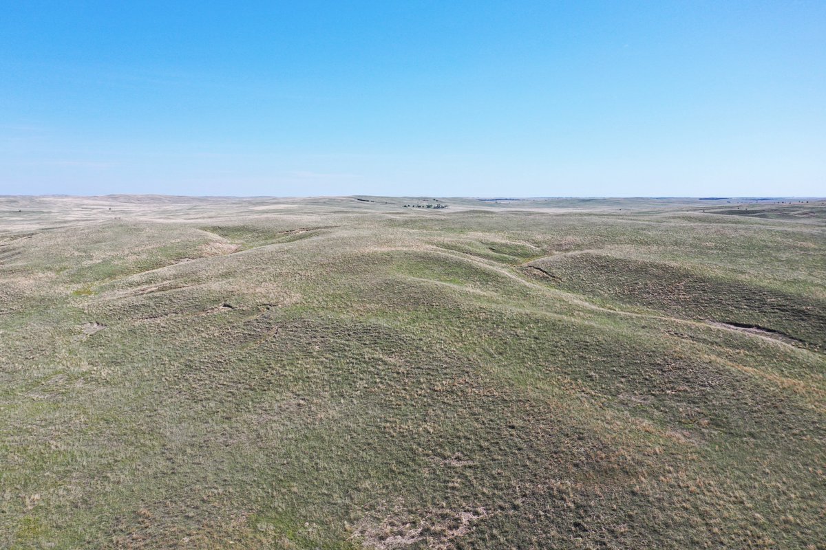 LashleyLand's tweet photo. NEW LISTING! Lincoln County Sandhills Pasture features 442± acres of well maintained sandhills rangeland sitting North of North Platte, NE. See the details: https://t.co/lJaL9GPc2Z https://t.co/3TArZ5qgam
