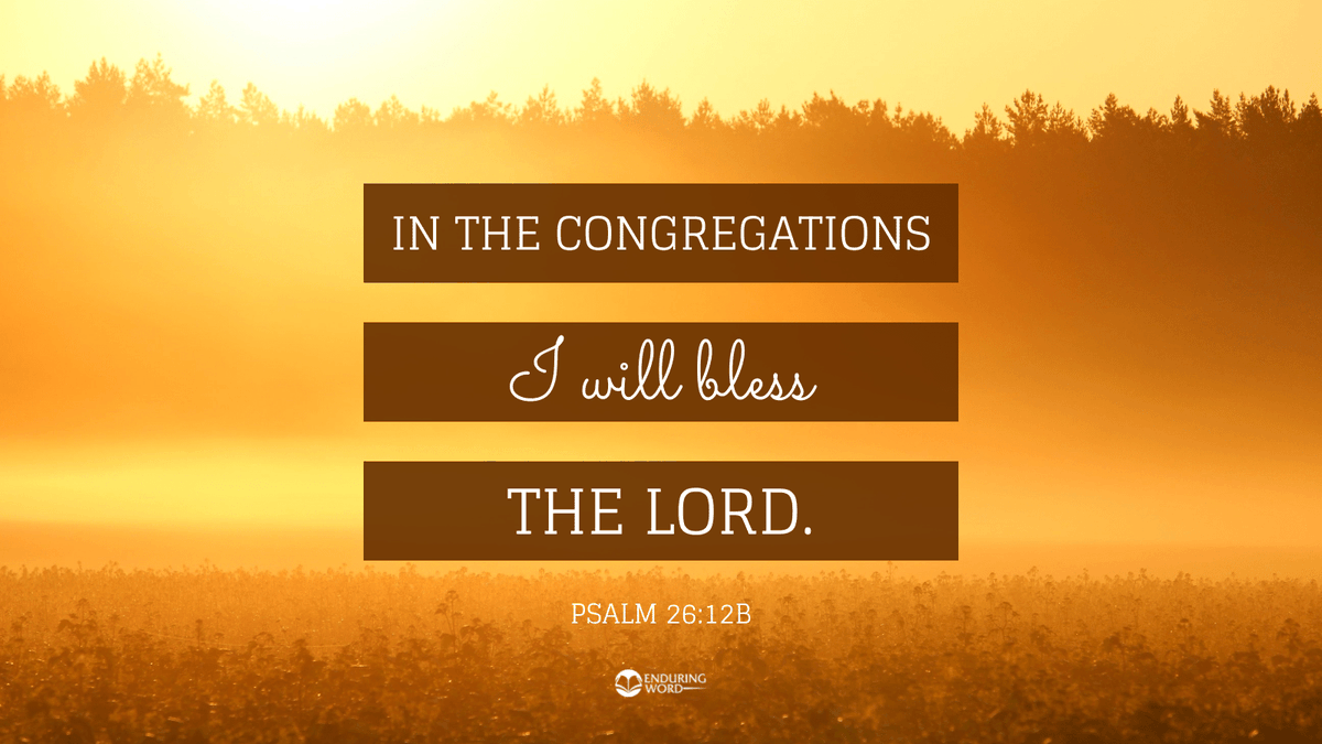 davidguzik's tweet photo. "He was so confident that he said that he would bless and praise God publicly, among others (in the congregations), not as an outcast or castaway."-David Guzik
https://t.co/Fgu21ltMFg
#EnduringWord #BlessTheLord #PraiseGod #PublicPraise #ConfidenceInFaith #PraiseAndWorship https://t.co/XpBQcndOff