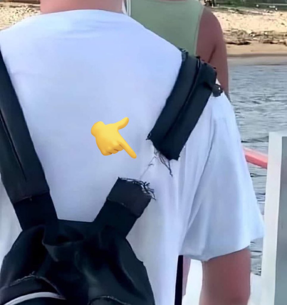 El sistema sanitario público.
Representación gráfica.