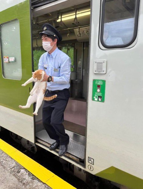 CatWorkers's tweet photo. Release him at once, he's the driver! https://t.co/NZ6tUlzHCT