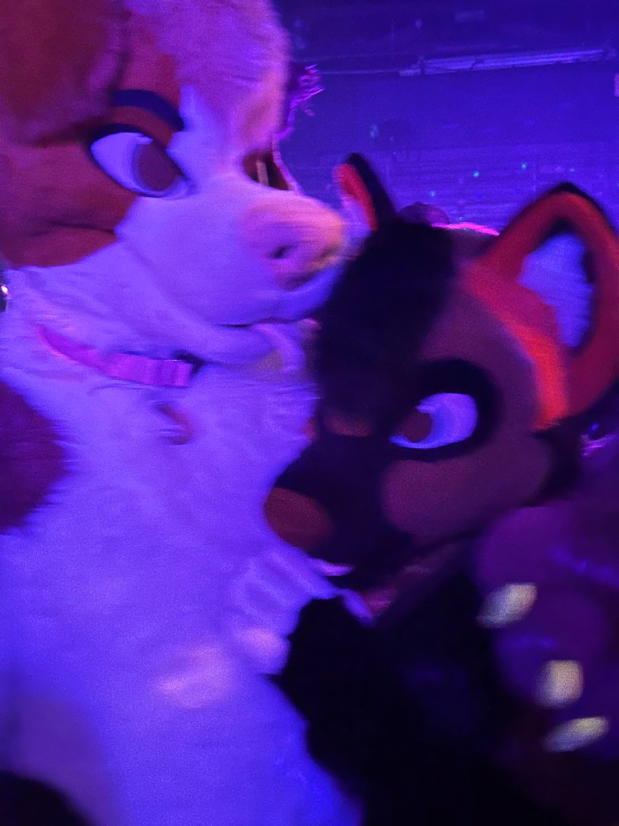So fortunate we have such a fun event in Toronto. Fierce was such an amazing vibe .

It was so nice seeing friends meeting new ones; Luv u all❤️❤️💃🕺  
🦊: <a href="/TheBurritoQueen/">Burrito Brat🌶</a>
