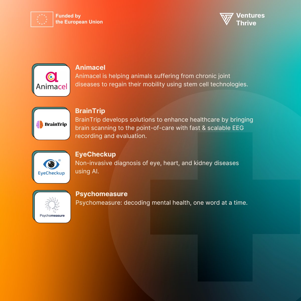 Ventures Thrive tweet media