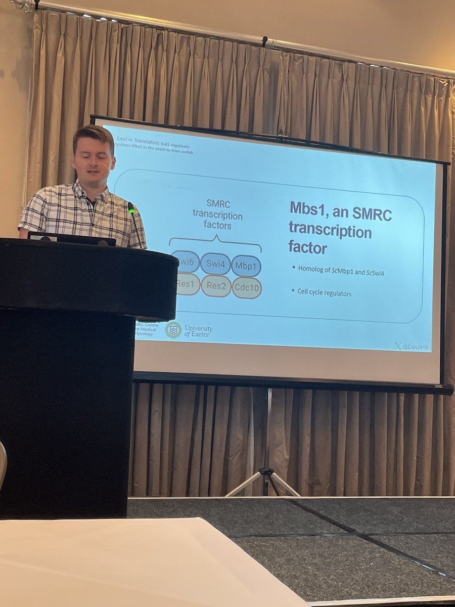 Dora Corzo, MD, PhD 🇲🇽🏴 (@forestcita) on Twitter photo <a href="/MRCcmm/">MRC Centre for Medical Mycology</a> <a href="/DanJ910/">Daniel Jones</a> and his Lost in Translation: Control of fungal morphology by an RNA-binding protein regulating a cell-cycle transcription factor. <a href="/MRCcmm/">MRC Centre for Medical Mycology</a> <a href="/DanJ910/">Daniel Jones</a> and his Lost in Translation: Control of fungal morphology by an RNA-binding protein regulating a cell-cycle transcription factor.