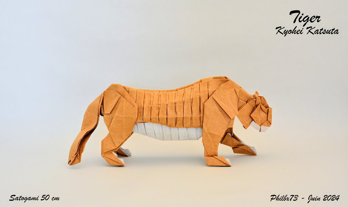 Tiger by Kyohei Katusta 
From satogami 50 cm