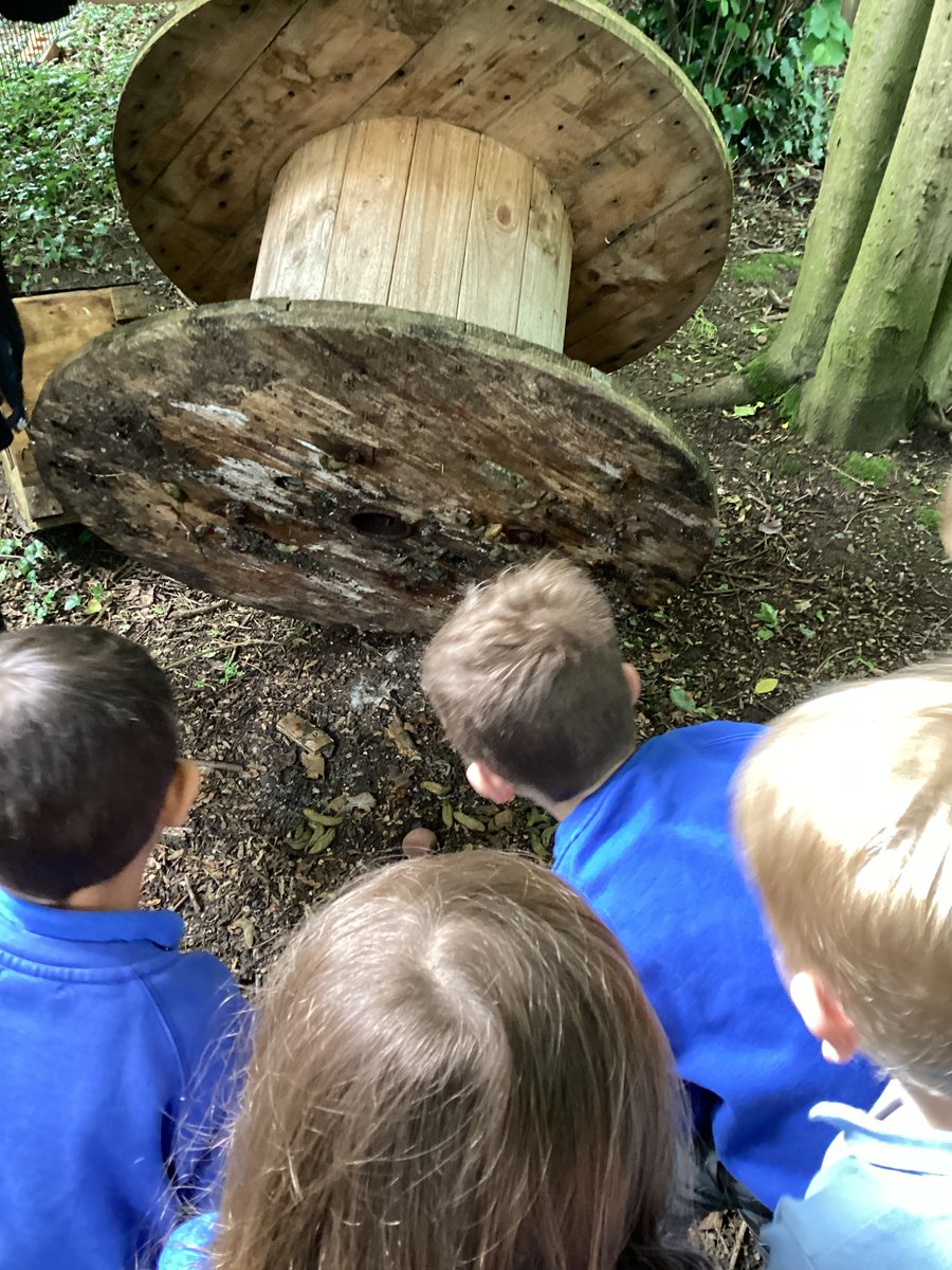 TopazClass1's tweet photo. This afternoon we have been on a minibeast hunt! 🕷️🪳🦗🦟🪰🪱 https://t.co/7VU2pLLe8F