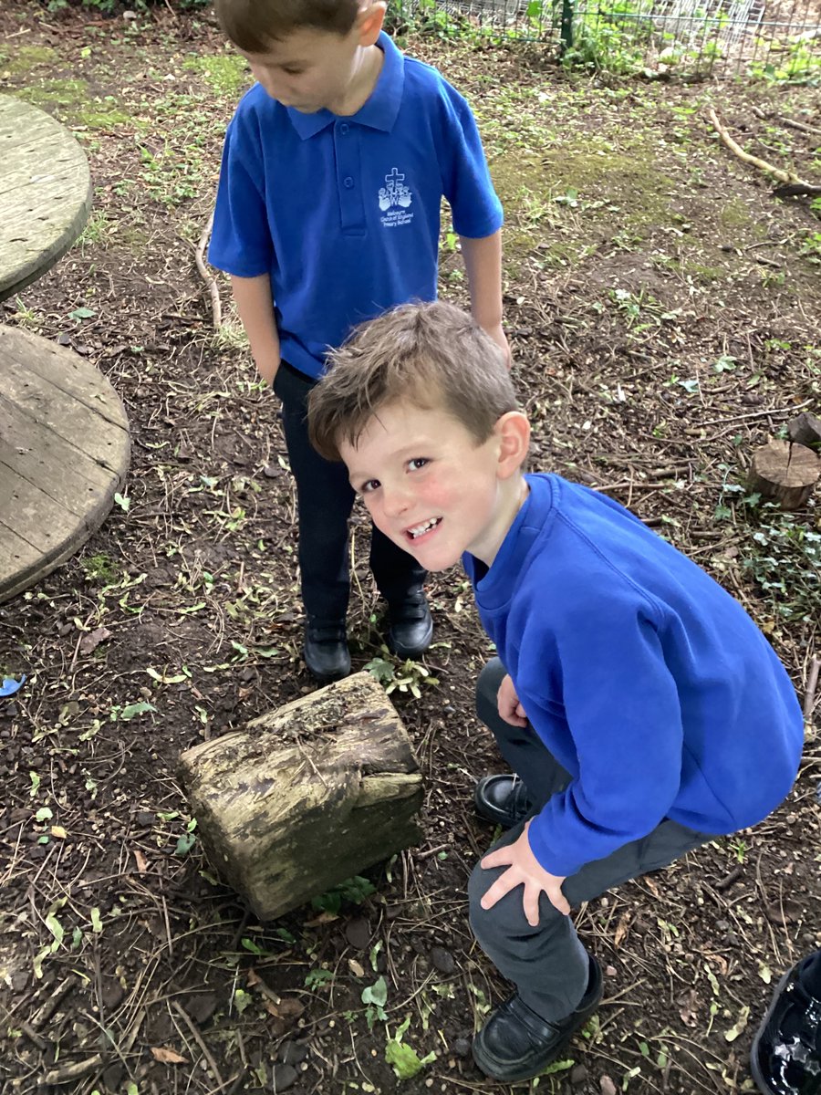 TopazClass1's tweet photo. This afternoon we have been on a minibeast hunt! 🕷️🪳🦗🦟🪰🪱 https://t.co/7VU2pLLe8F
