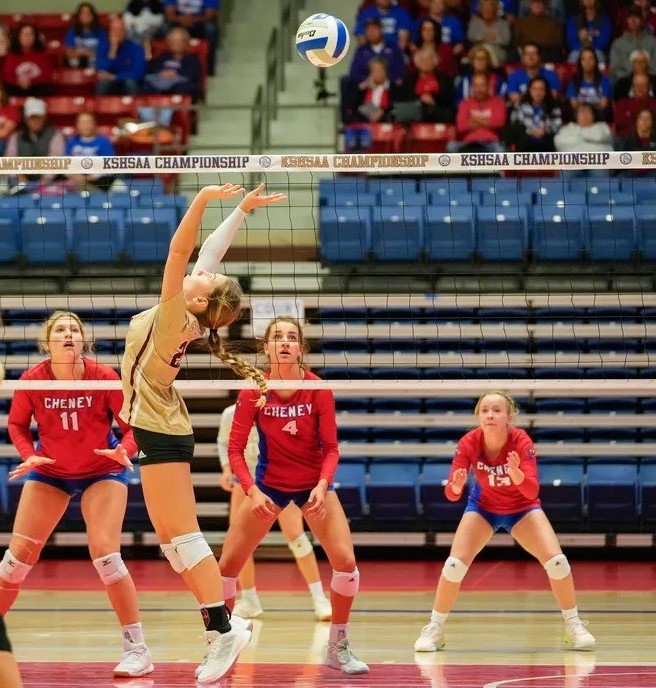 Rick Peterson tweet media