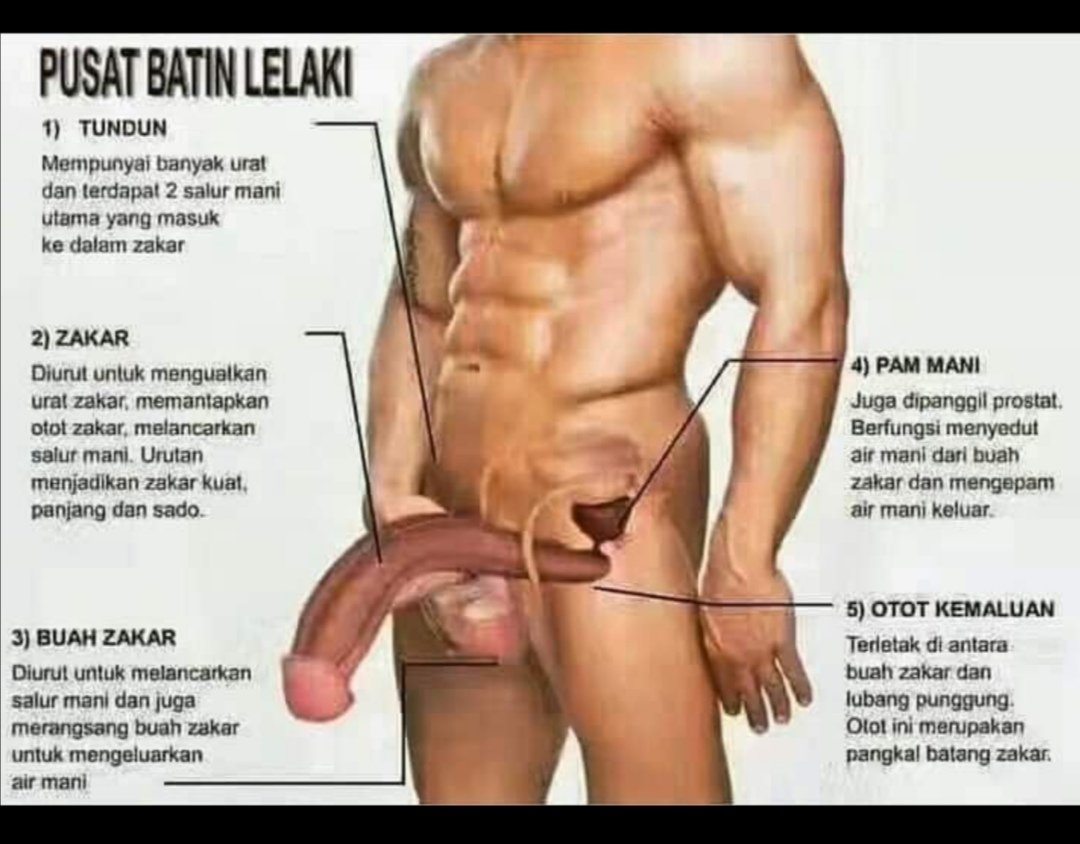 NipHolus's tweet photo. Buat pengetahuan ya https://t.co/74ZIastg2k