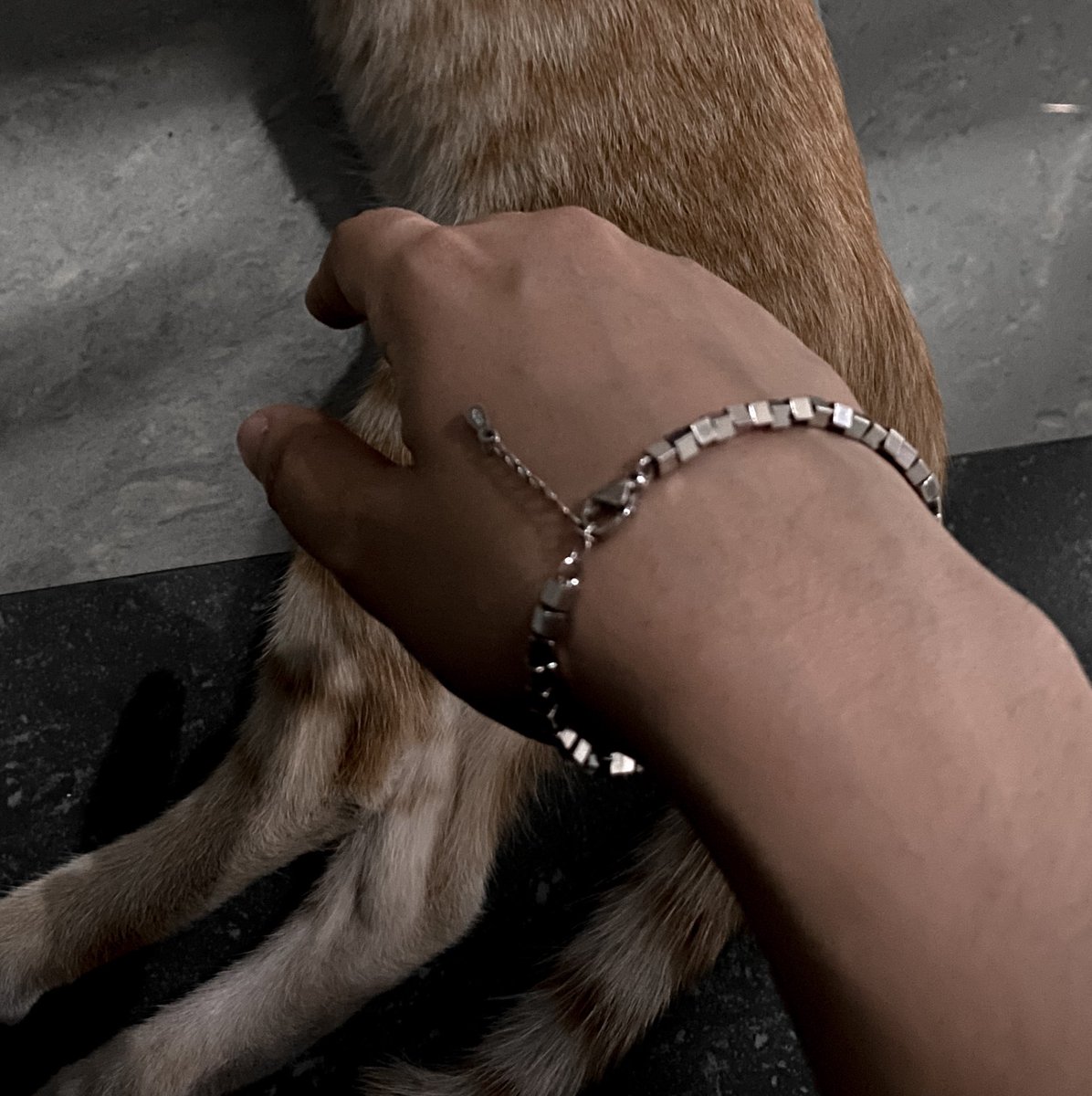 I like the feeling now.🐈