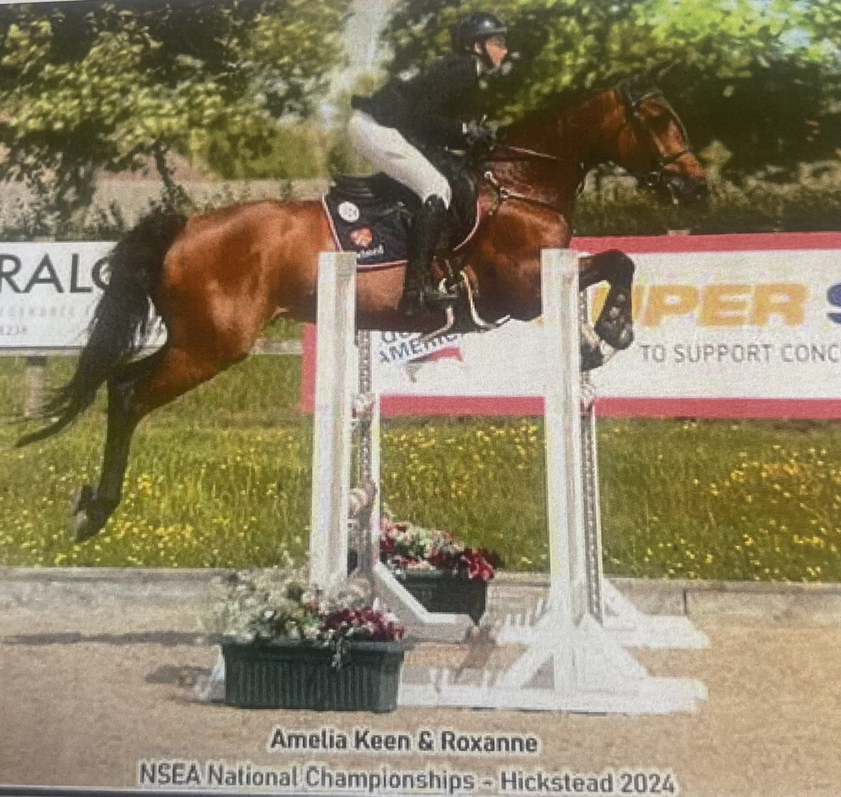 Manor House tweet media