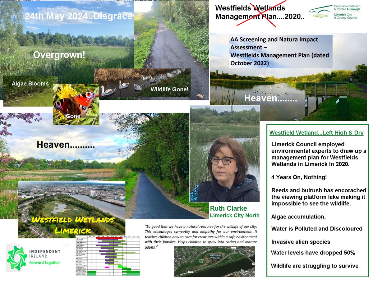 Results Count 15 Limerick sees Ind <a href="/Cllrfrankiedaly/">Cllr Frankie Daly</a> Lab <a href="/ConorSheehan93/">Conor Sheehan TD</a> FF Kieran O'Hanlon FG <a href="/oliviaos/">Olivia O'Sullivan</a> SF Sharon Benson, Sarah Beasley <a href="/AontuL/">Cllr. Sarah Beasley - Aontú Limerick</a>, SocD <a href="/ShaneHickeyOM/">Cllr Shane Hickey-O'Mara</a> Best Wishes &amp; Work Hard Please.   
 Humbled Ruth Clarke 'Stand Up &amp; Fight Till You Here the Bell'👍<a href="/RichardODonoghu/">Richard O'Donoghue TD</a>
