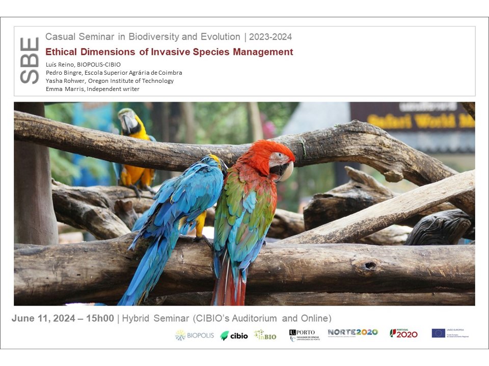 Luís Reino tweet media