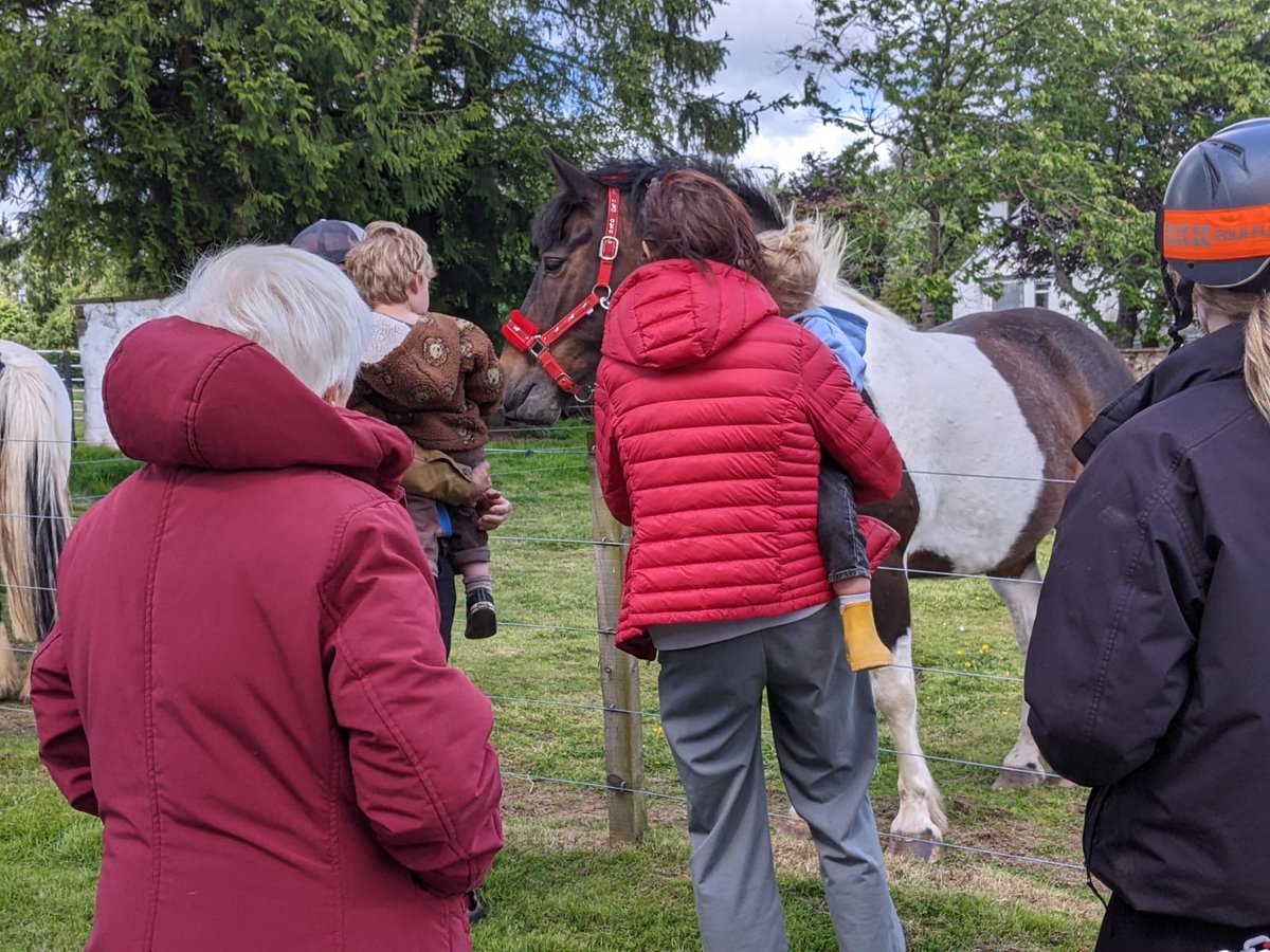 RedwingsHS's tweet photo. Happy 10th Birthday Gibson! 🎉

Adoption Star Gibson celebrated his birthday at the weekend at Redwings Mountains in Scotland 🐴🏴󠁧󠁢󠁳󠁣󠁴󠁿 Thank you to everyone who joined him for his party, he had a lovely day ❤️ https://t.co/Yf8VJ3ibTD