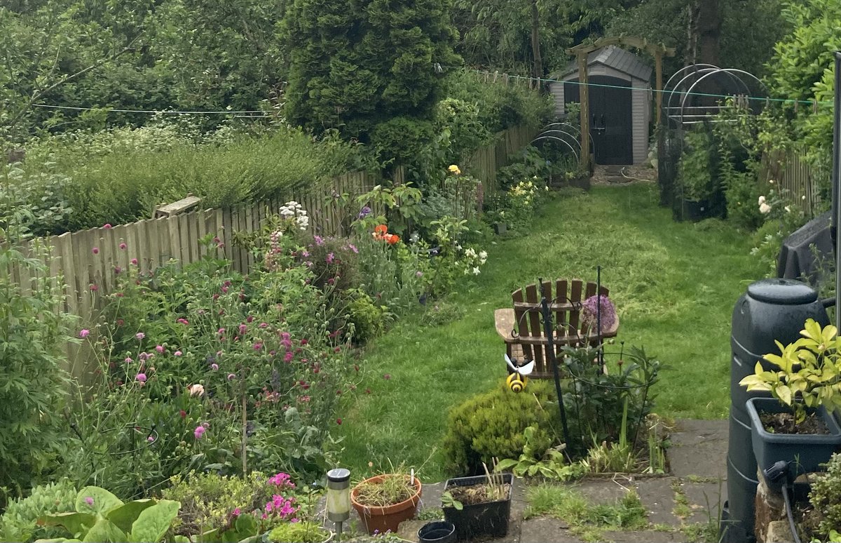 martin_j_robson's tweet photo. after #nomowmay at our #cottagegarden we have cut the grass. Despite #letitbloom June we are confident there are plenty of #pollination for our 2 #beehives & others. Our 35kg Italian Spinone tried hiding in the long grass then we cut @Love_plants @GWmag @YorksWildlife #teamwild https://t.co/2Zc88aQGmO