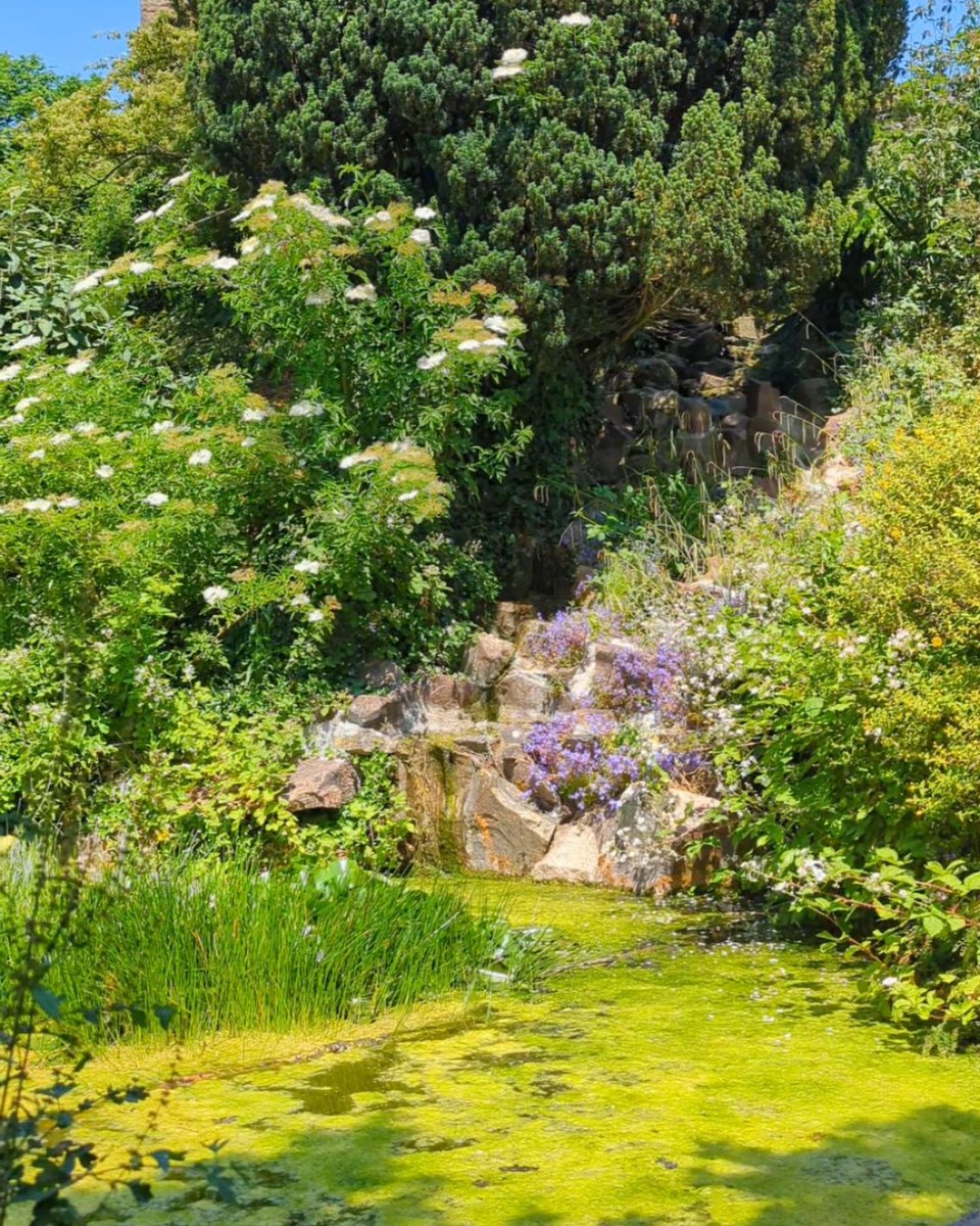 We had a delightful week last week celebrating the pockets of nature in and around our city with Festival of Nature  🐞

Now we're showing some love to the hidden garden corners of Brandon Hill just in time for summer - and it's only a three minute walk from campus 💚☀