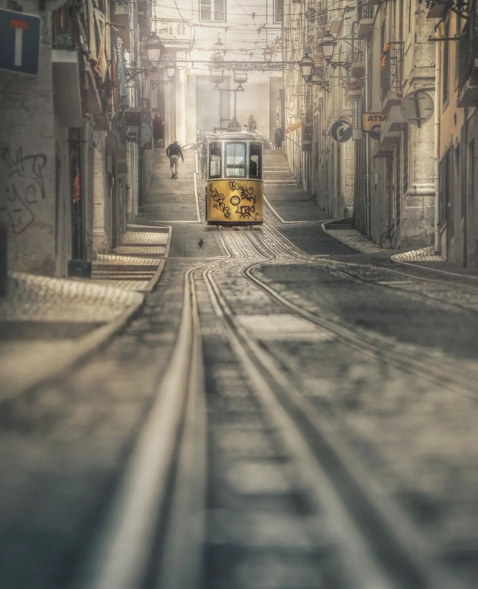 theglobalphotocommunity tweet media
