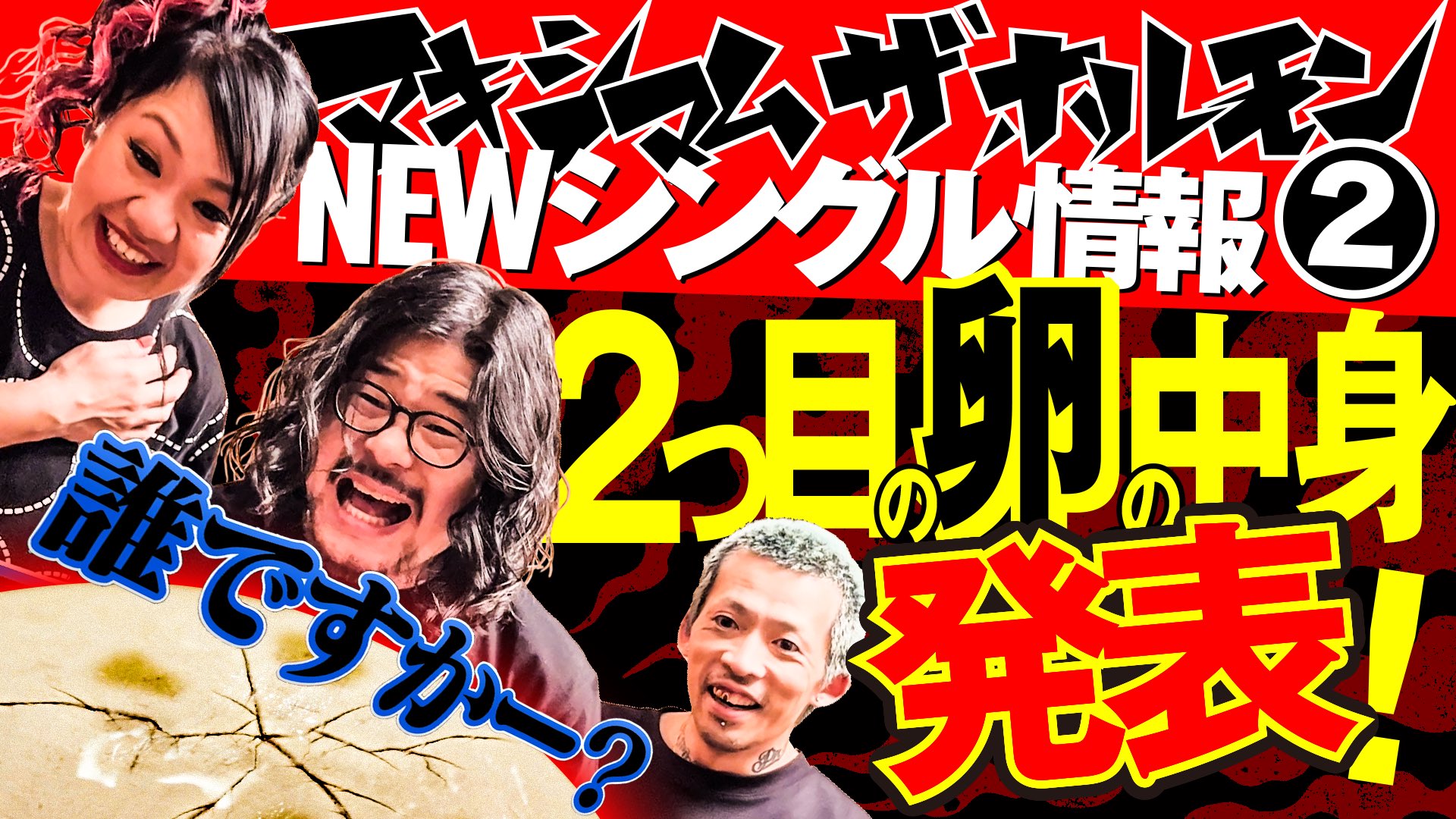 激レア・非売品】マキシマム ザ ホルモン アルバム収納ケース