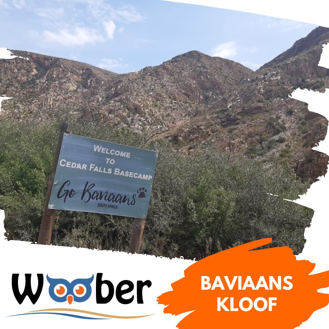 GRC_Tours's tweet photo. Taking clients to the Baviaanskloof - Cedar Falls for the Leopard Trail Hike.
.
.
.
.
#woober #cedarfalls #baviaanskloof #leopardtrail #hiking #gardenrouteconcierge #hikinginsouthafrica #gobaviaans #theleopardtrail #cedarfalls #glamping #slackpacking https://t.co/jg6PUMxeID