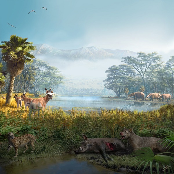 La disminución de presas impulsó la extinción de los depredadores en la península ibérica

Estudio internacional en el que participan <a href="/unicomplutense/">Complutense</a> y <a href="/mncn_csic/">Museo Nacional de Ciencias Naturales</a> 

👉ucm.es/otri/noticias-…