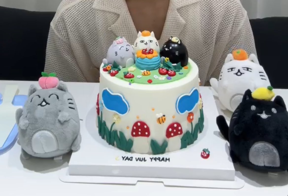 sounds_of_cheol's tweet photo. jun's cake 🥹🐱 https://t.co/IFK4D2O1R3