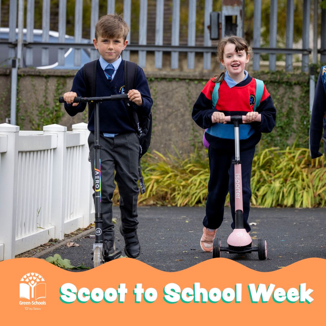 GreenSchoolsIre's tweet photo. It's Scoot to School Week! Can't wait to see all the action from our primary schools this week - don't forget to tag us in your photos... Happy Scooting!
#Scoot2SchoolWeek #scooting #activetravel https://t.co/qOwmS7J0GK