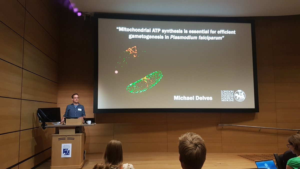 LondonECR's tweet photo. Energised into session 2: @mjdelves showcasing his fascinating work on the role of mitochondrial respiration in male and female P. falciparum gametocytes. https://t.co/NEh4CF0QZW