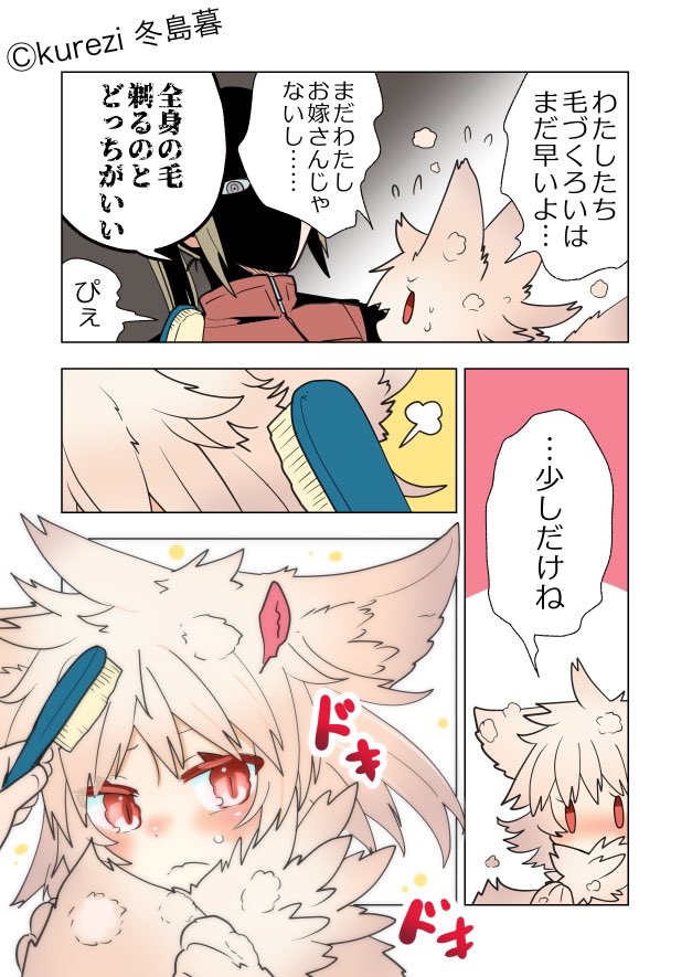 換毛期(2/2) 