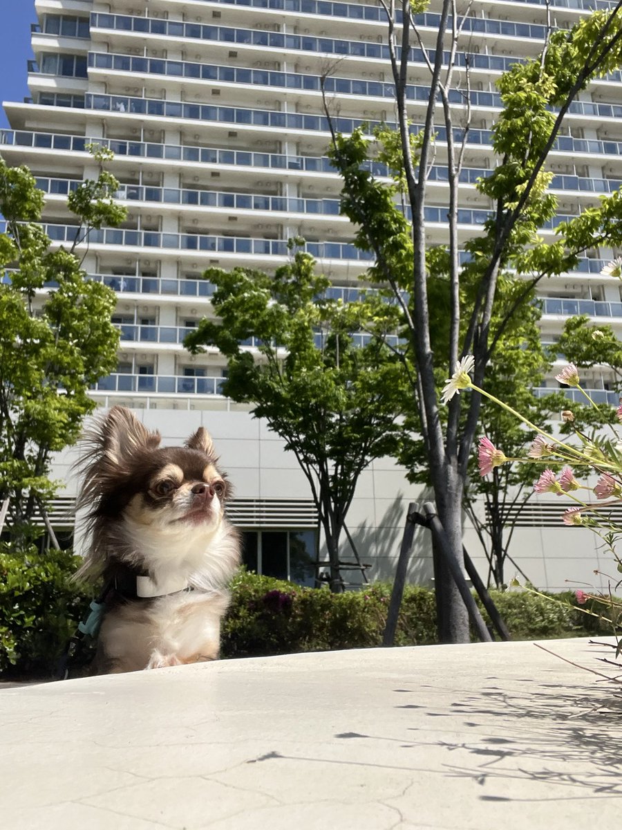 nobu_us59's tweet photo. やる気やモチベーションではなく組織の基準(マインドセット)を高めることやれた組織が強いと思います！ https://t.co/bqZ9yoQ79B
