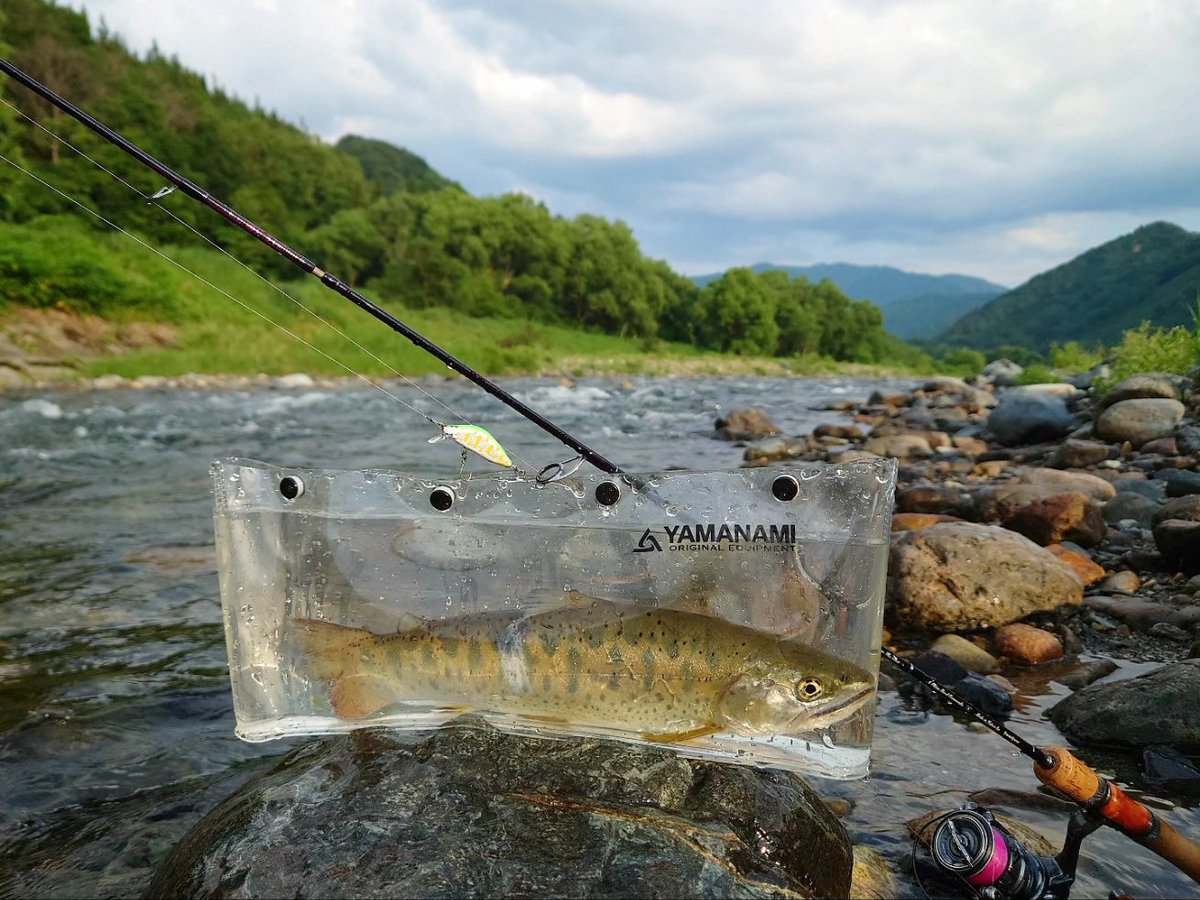 satsuki780309's tweet photo. 途中までちびイワナしか釣れなかったけど、最後の最後で尺ヤマメ🐟

上流に見切りつけて下って良かった😂😂😂

釣ったら口からカジカ飛び出してた
やっぱ食ってんだね https://t.co/Uy60TKuv4d