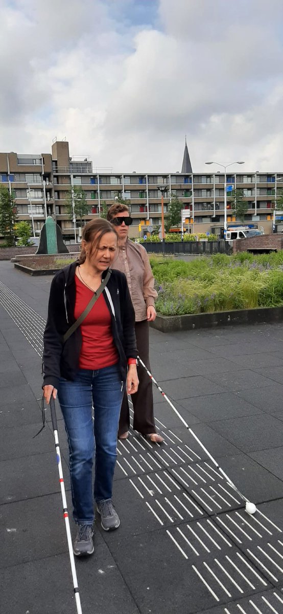 Met leden van het Platform Gehandicaptenbeleid Castricum ervaren hoe het is om in een rolstoel over straat te moeten en daarna datzelfde met beperkt zicht.