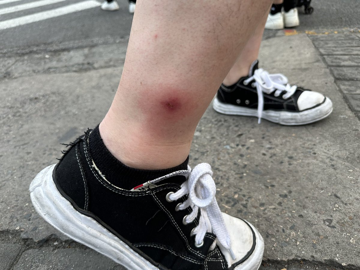 DSG Toast tweet media