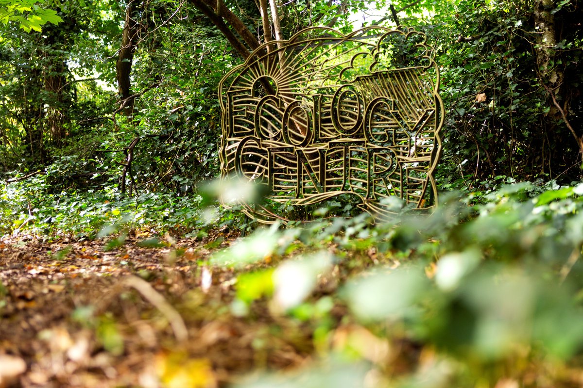 IslingtonLife's tweet image. Join this Carer’s Walk at Gillespie Park on Wednesday, 2.30-3.30pm 🌿 🚶 🪵 🌸 

Enjoy the nature, fresh air and some time to yourself. Free hot drinks at the end too ☕ 

Turn up on the day or check the eventbrite page for more info and to book - see link below ⬇️ 

#carersweek