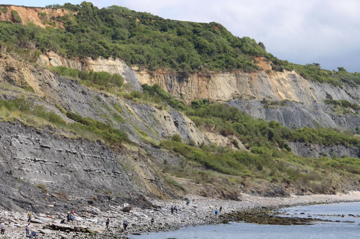 TetZoo's tweet image. MORE photos from the weekend at #LymeRegis for the #FossilFestival. I took 100s, here are a bunch showing East Beach...