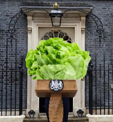 Rumours still circulating of #RishiSunak being forced to step down before the election – will we see the return of the lettuce?

#GeneralElectionUK
<a href="/VoteTrueAndFair/">Sandra from HR</a> 
@GinaForEpsom