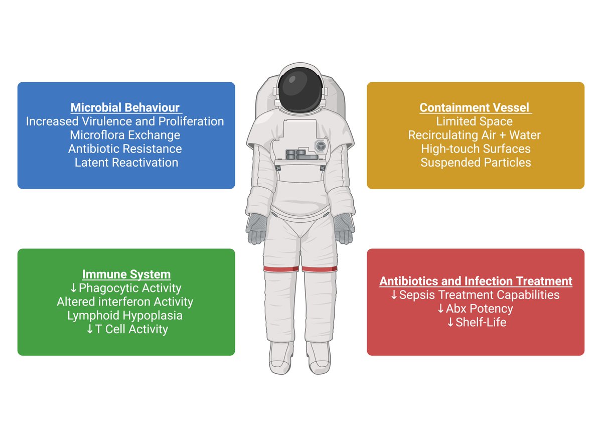 Delighted to see our review of #Infections in #Space published in the <a href="/LancetMicrobe/">The Lancet Microbe</a> ! Huge thanks to Onisillos Sekkides and his editorial team for supporting our work!

thelancet.com/journals/lanmi…

#SpaceExploration #Immunity #Sepsis <a href="/ImperialSandC/">Surgery and Cancer</a>