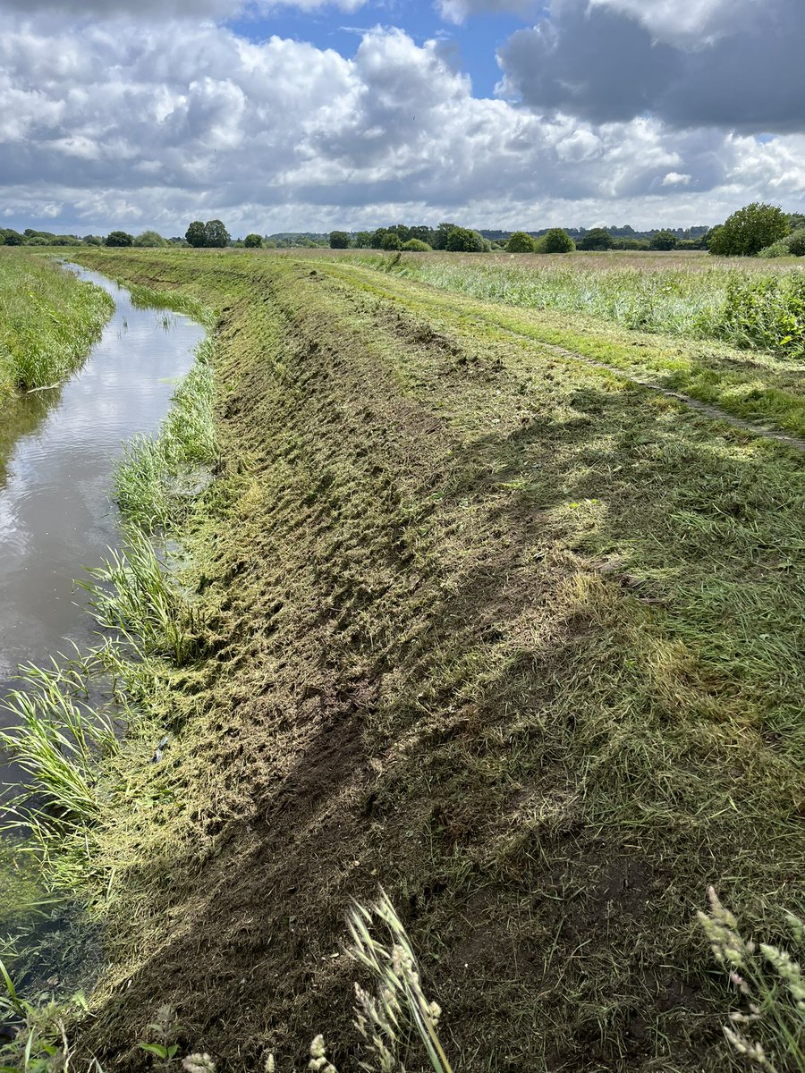 Middle of the breeding season and the south bank of Catchwater drain has been scalped, destroying Whitethroat &amp; Reed Bunting nests! Why? <a href="/EnvAgency/">Environment Agency</a> <a href="/Lincsbirding/">Lincsbirding</a> <a href="/LincsWildlife/">Lincs Wildlife Trust</a>