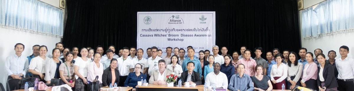 CassavaDiseaseSolutionsAsia tweet media