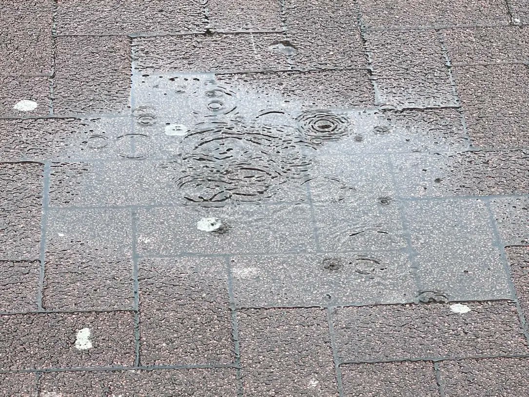 Beverwaard... Waar blijft die zomer nou!?  🌧️☀️

#Beverwaard