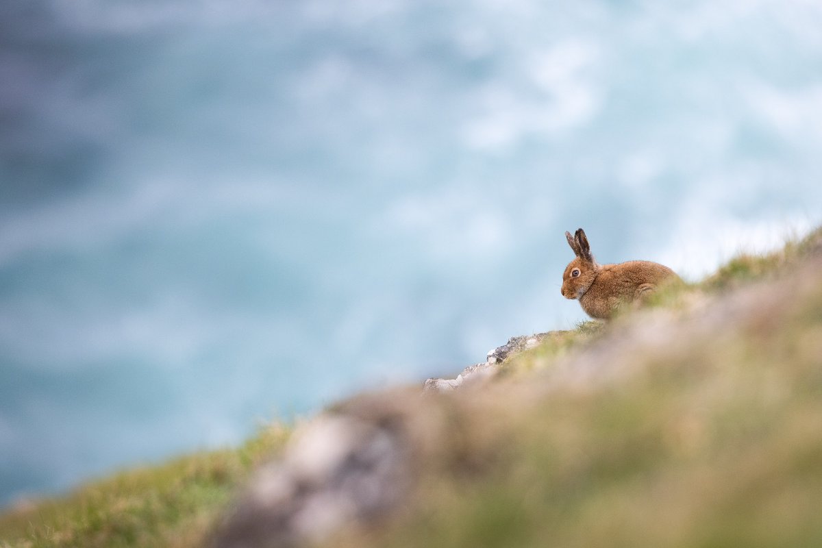 Harry Martin Photography tweet media