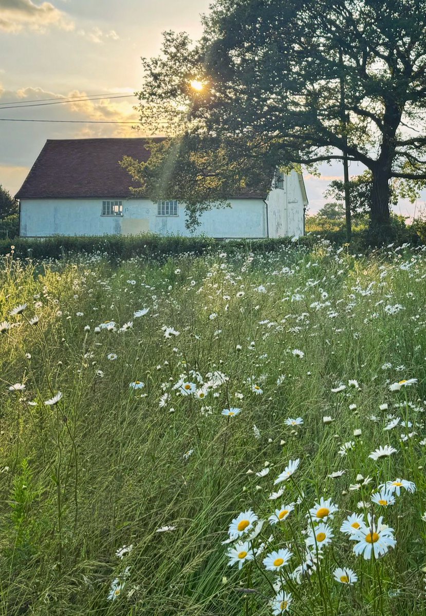 Walpole Old Chapel tweet media