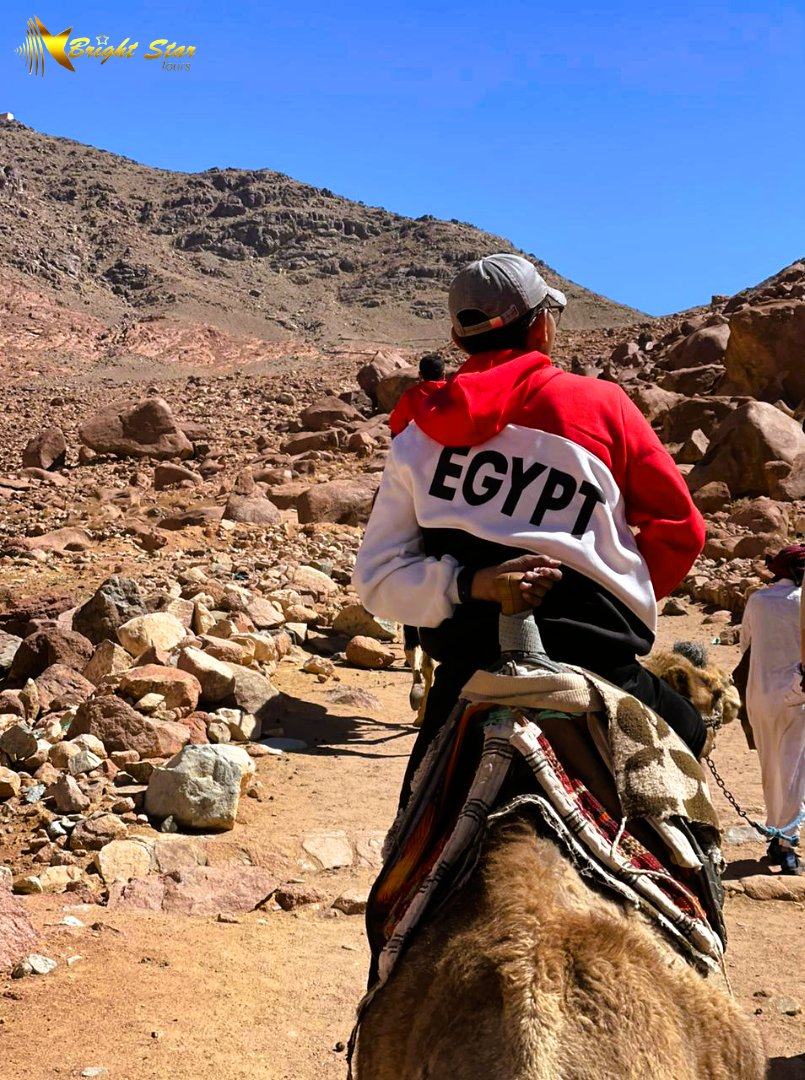 Bright Star Tours tweet media