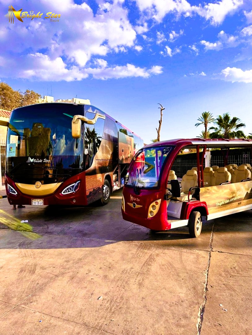 Bright Star Tours tweet media