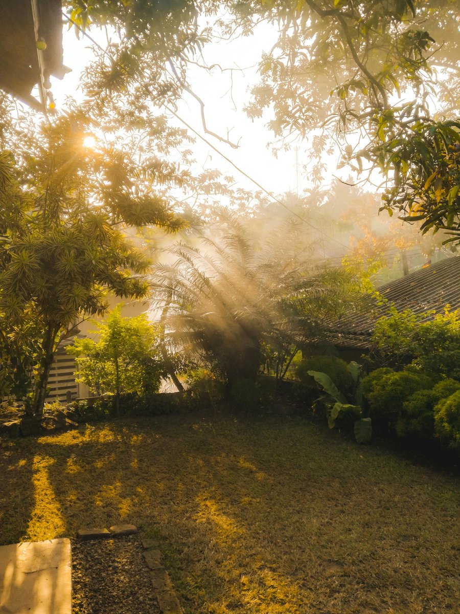 Beautiful scene ❤️
