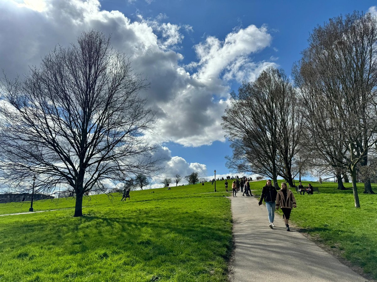 Rosalia605724's tweet photo. Soaking up the morning sun has become my daily pleasure. There is something uplifting about starting the day with a peaceful walk in its warm embrace. https://t.co/mMSMZ6wvqG
