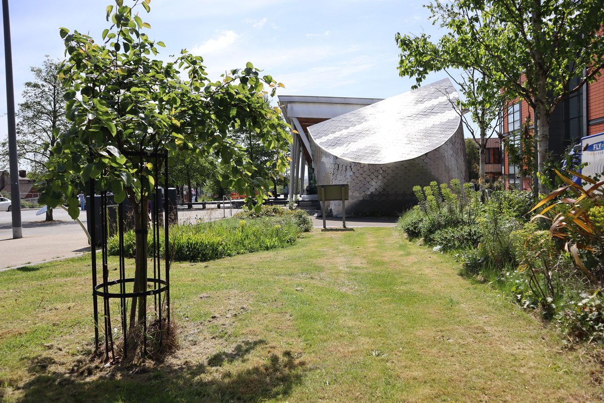 On 10 June 1942 Nazis entered Lidice, Czech Republic, shot 173 men, removed the women and children and destroyed the village. 

Stoke-on-Trent will continue to remember and commemorate the Lidice atrocity.

 orlo.uk/rMoAN

📷 Lidice memorial tree &amp; sculpture, Hanley