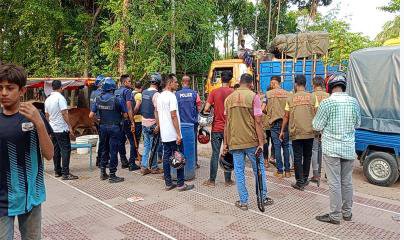 কালিহাতীতে ট্রাকের চাকায় পিষ্ট হয়ে প্রাণ গেল চালকের