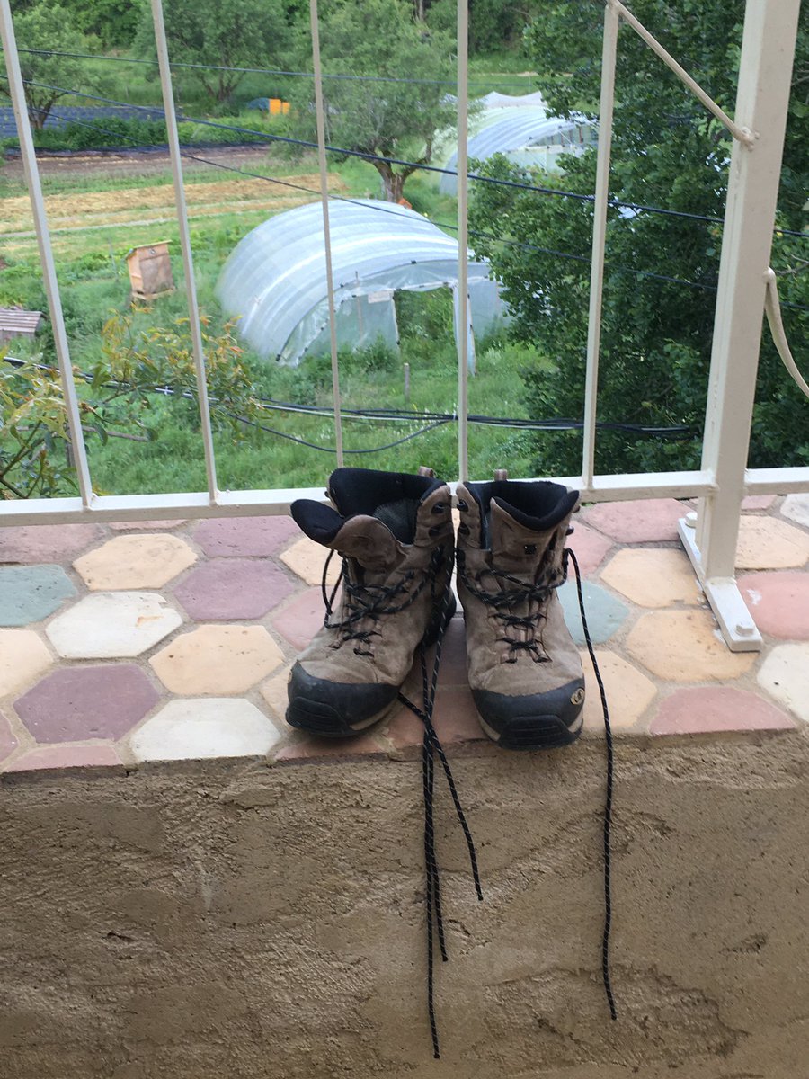 Encore la #foret et le #changement climatique : cette fois sortie terrain pour collecter les échantillons à analyser, toujours avec #IMBE. Quelques belles surprises comme des orchidées, du safran…