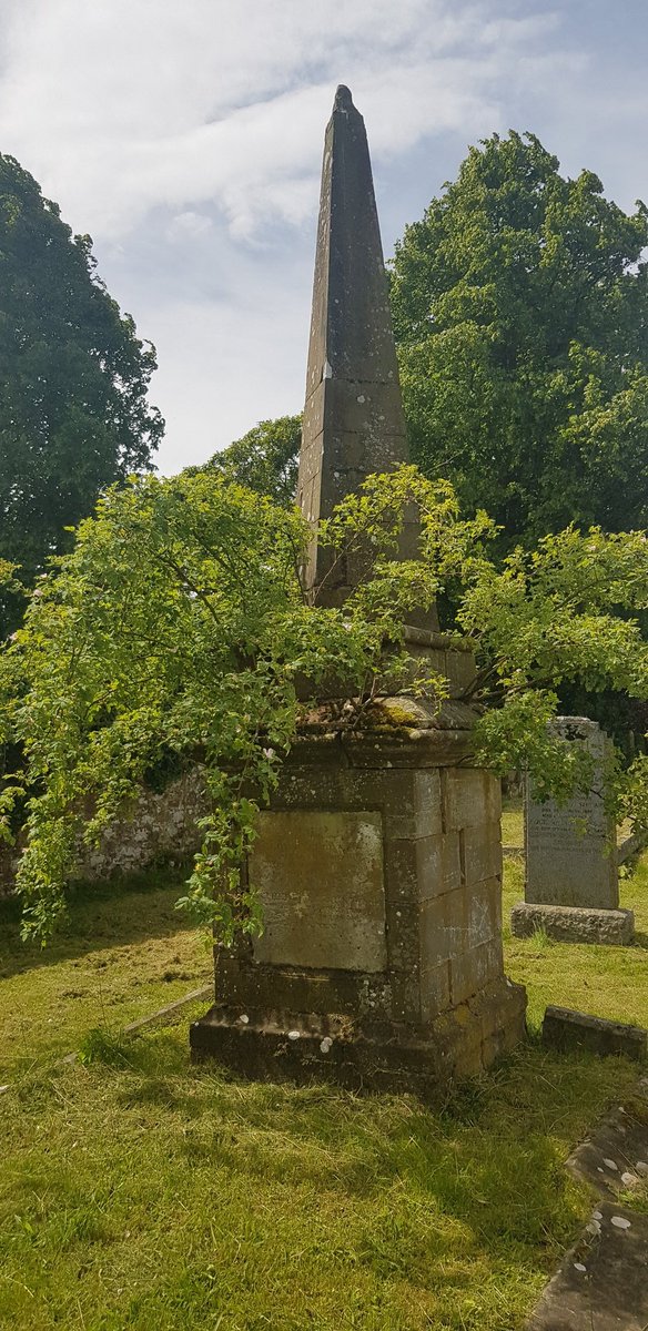 GravePerthshire's tweet photo. We've all seen grave markers hidden by overgrown trees and ivy. But how often do you see roses growing OUT of the stone? 

My amateur attempt at an ID call this a downy rose or corymb rose, maybe @bob_ross can clarify? https://t.co/cYzzsyKa0W