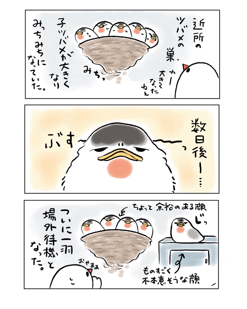 不定期佐渡日記③
(都合により人間をぶんちょの姿で描いております🐦) 