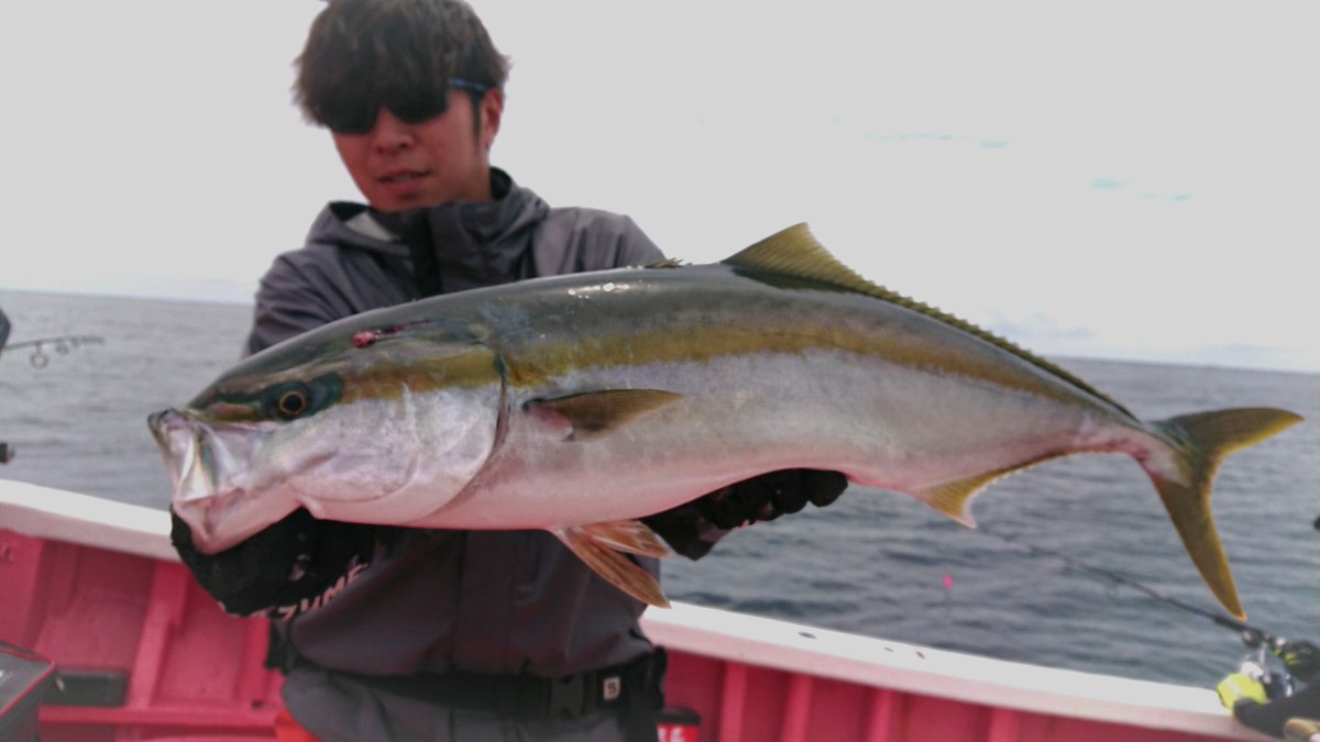 kenta092609266's tweet photo. サンパクは優しかった!☺️
サンパクでも、トップで釣れたら楽しいわ🎣
#ヒラマサ #ヒラマサキャスティング #トップウォーター #mcworks #mcワークス #EXPLOSIONFULLCONTACT836CTR https://t.co/FXnzRKKdyF
